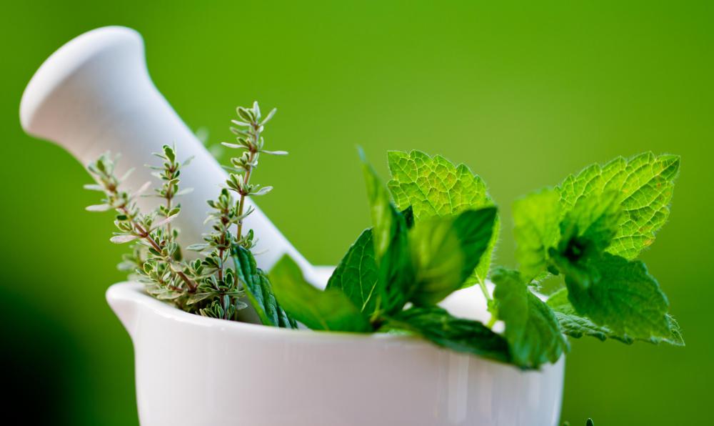 Top 5 Ayurvedic Herbs That Stop Hair Fall Naturally